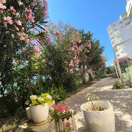 Oleander Lejlighed