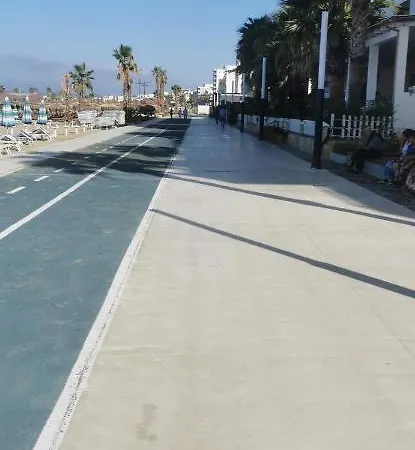 Daire Oleander Dıraç