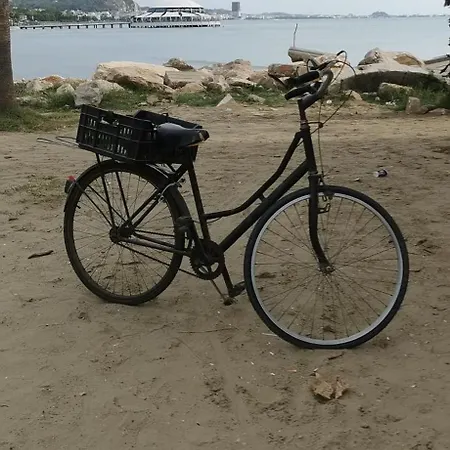 Daire Oleander Dıraç