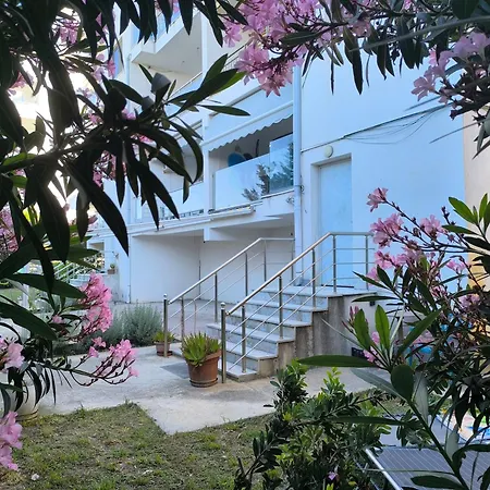 Oleander