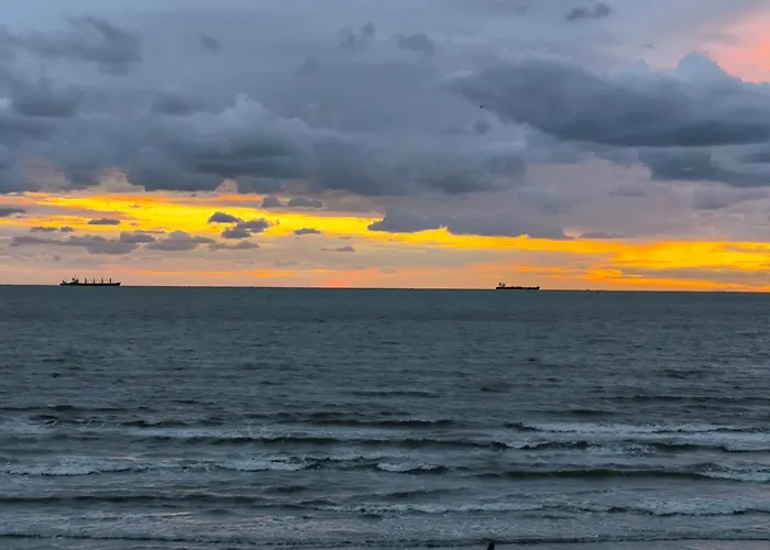 Apartamento Oleander